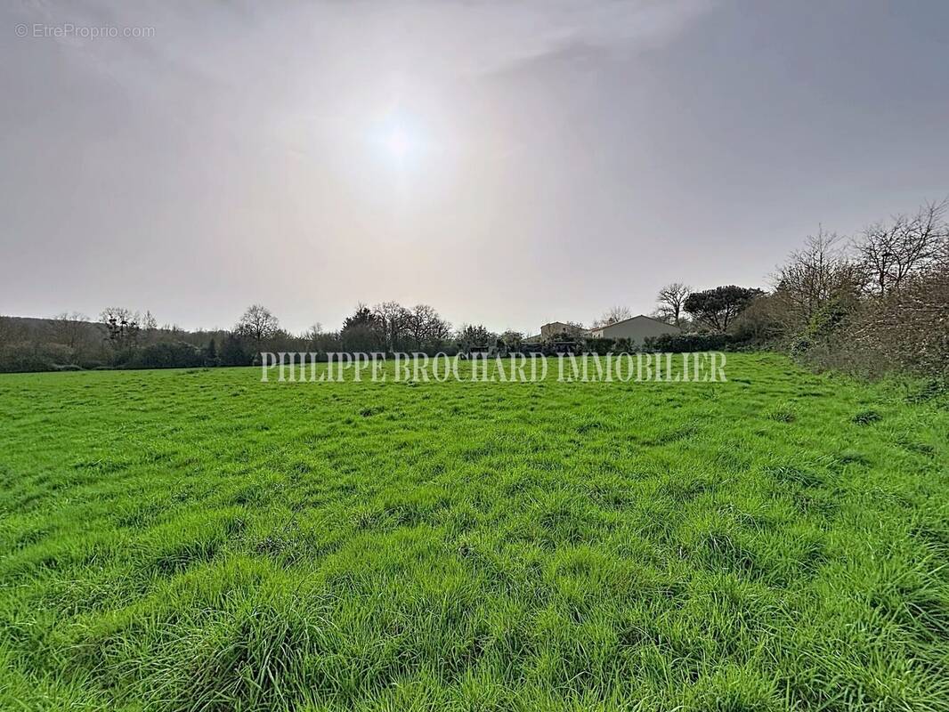 Terrain à MAREUIL-SUR-LAY-DISSAIS