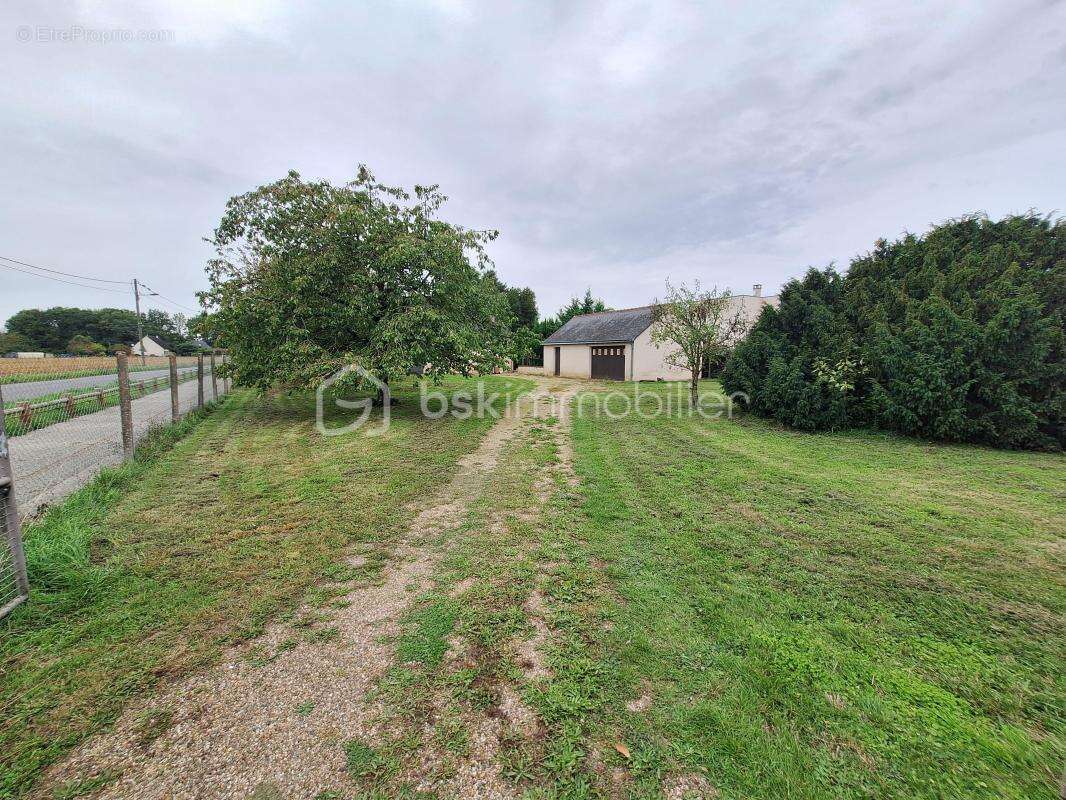 Terrain à JOUE-LES-TOURS