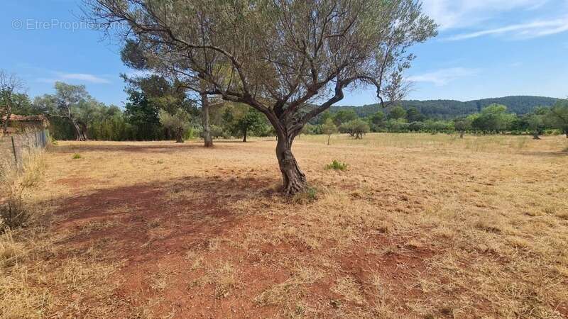 Terrain à vendre  CUERS (83) - photo 2