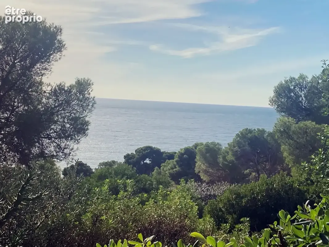 HYÈRES   ALMANARRE / COSTEBELLE T2 vue mer terrasse et jardin - photo 12
