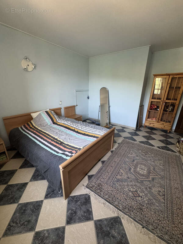 Venaco, villa d'exception à 10 min de Corte - photo 17