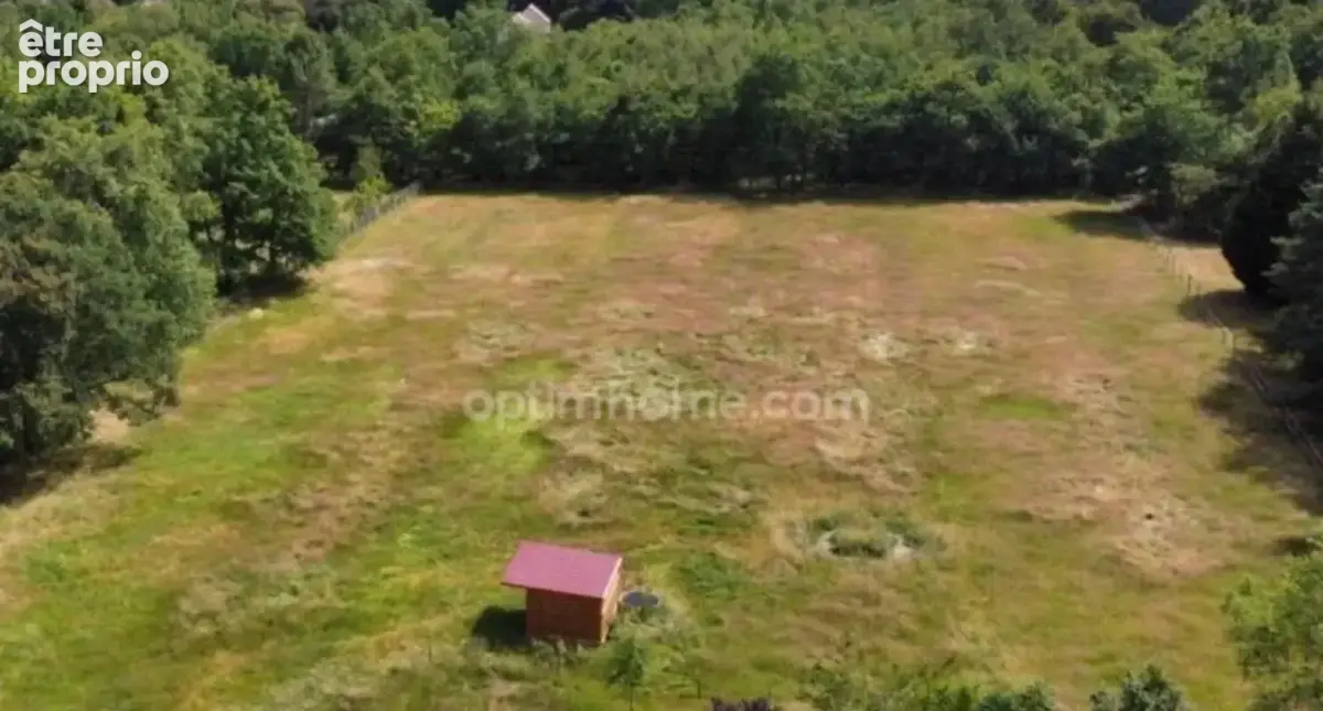 Terrain à vendre de 8 500,00 m² VILLEFRANCHE SUR CHER 41 dans un environnement très calme et verdoyant - photo 4