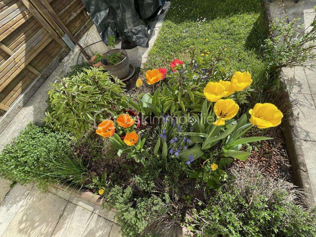 Maison à LES CLAYES-SOUS-BOIS