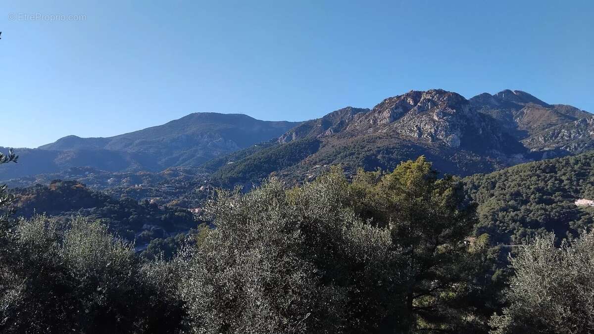 Terrain à MENTON