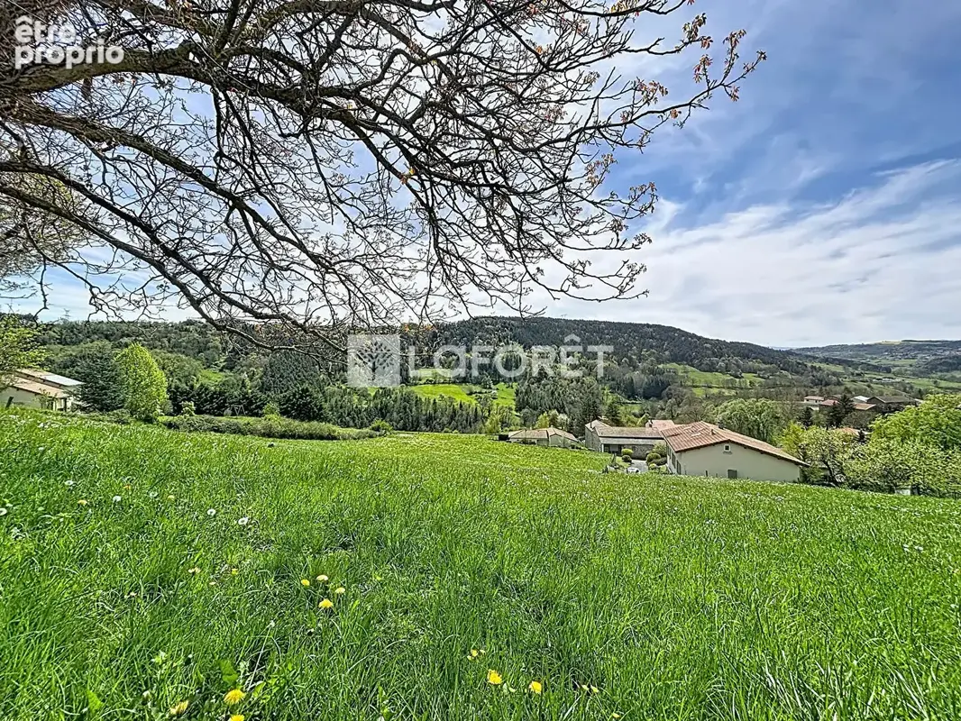 Terrain Polignac 1533 m2 - photo 4