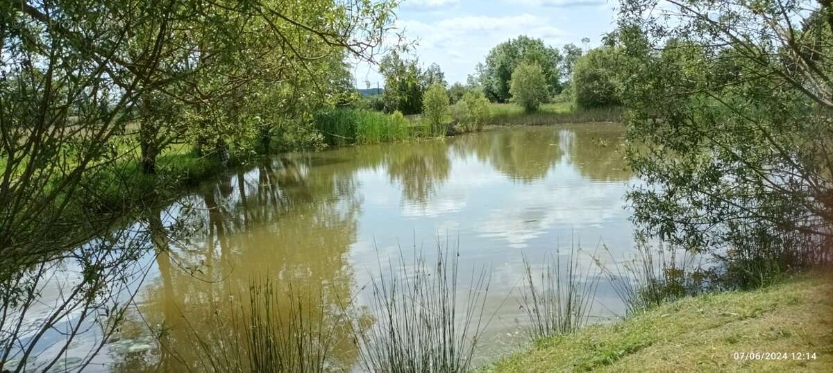 Propriété à vendre SAINT HILAIRE ( allier) comprenant une maison et un gite sur un parc de 23433 m² - photo 55