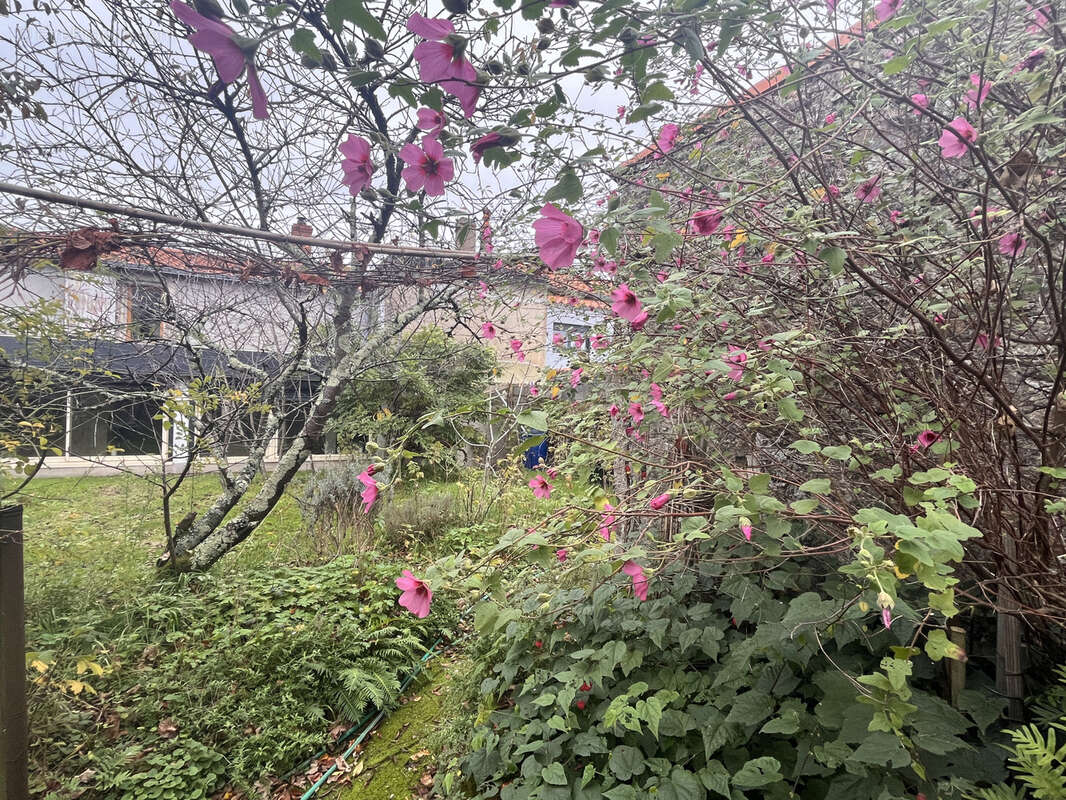 Maison à SAINT-JEAN-DE-BOISEAU