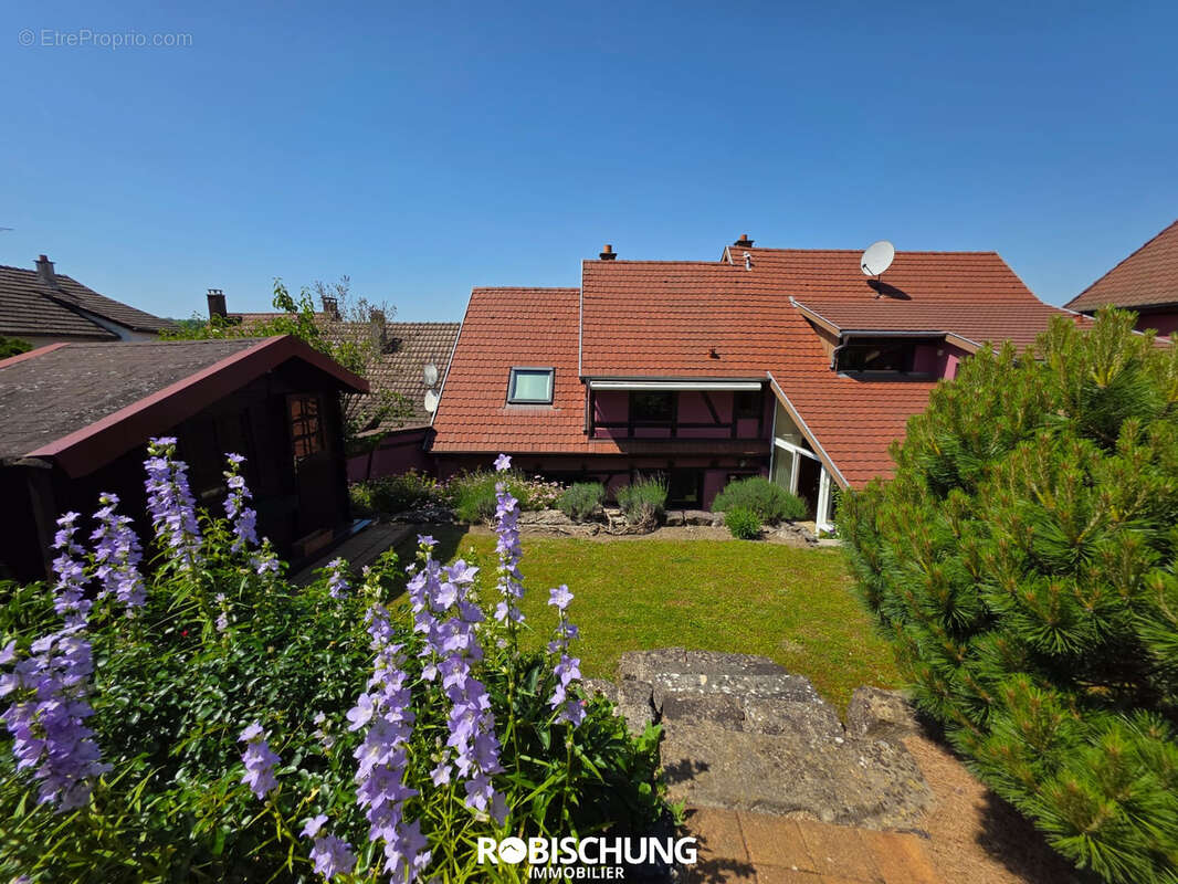 Maison à HIRTZBACH