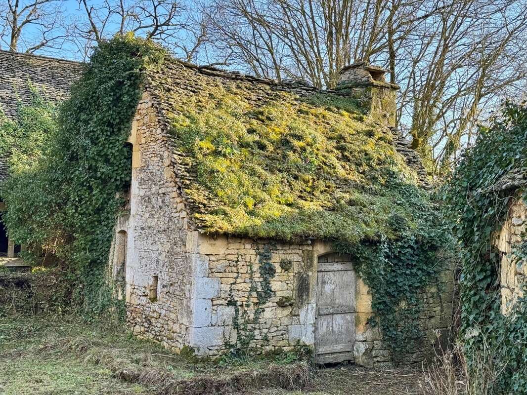 IMG_1216.jpeg - Maison à BEYNAC-ET-CAZENAC