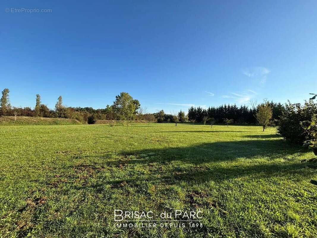 Terrain à LES MAILLYS