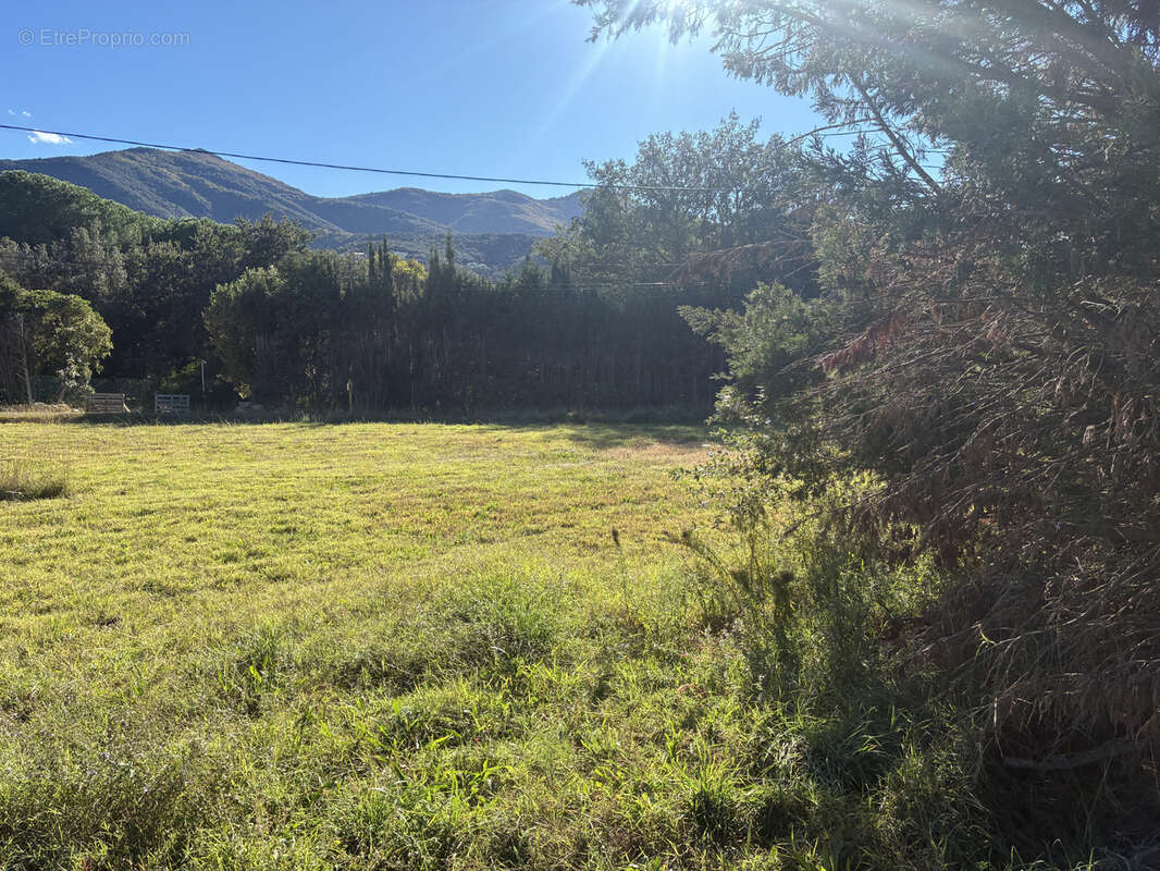 Terrain à LAROQUE-DES-ALBERES