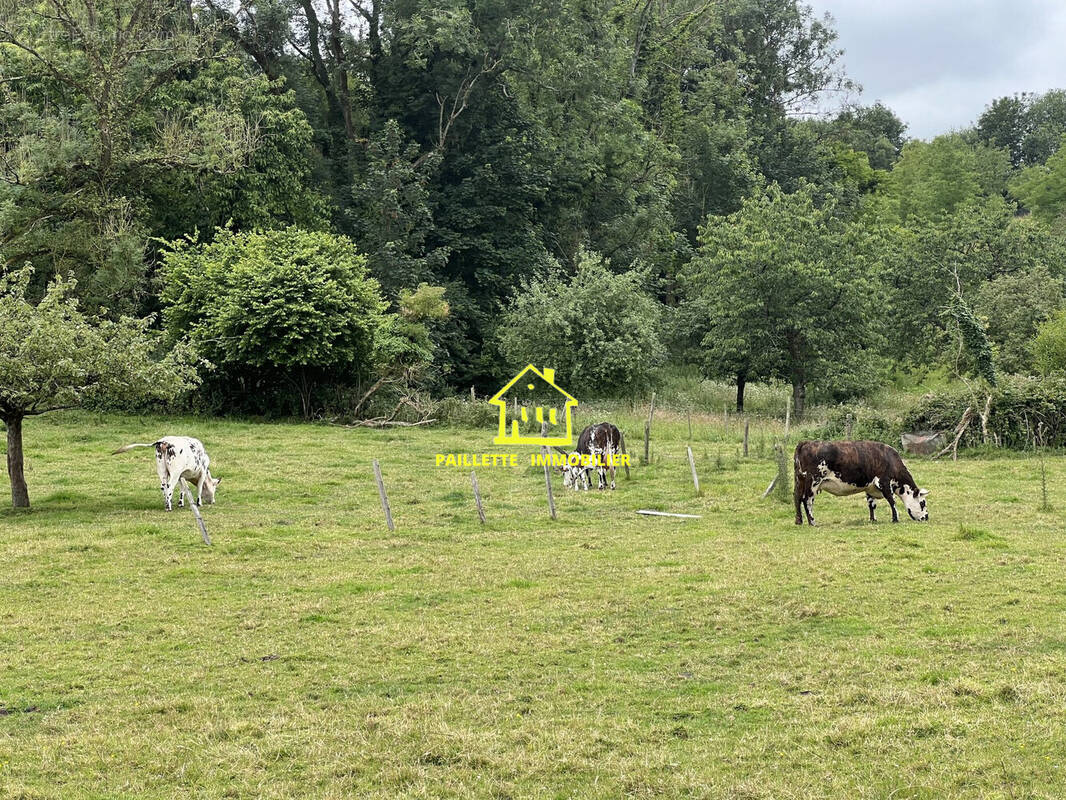 Terrain à VATTETOT-SUR-MER