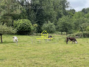 Terrain à VATTETOT-SUR-MER