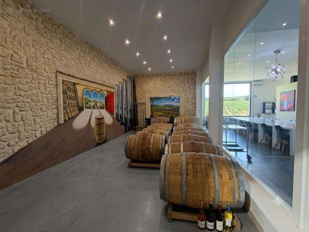 Propriété viticole - photo 14