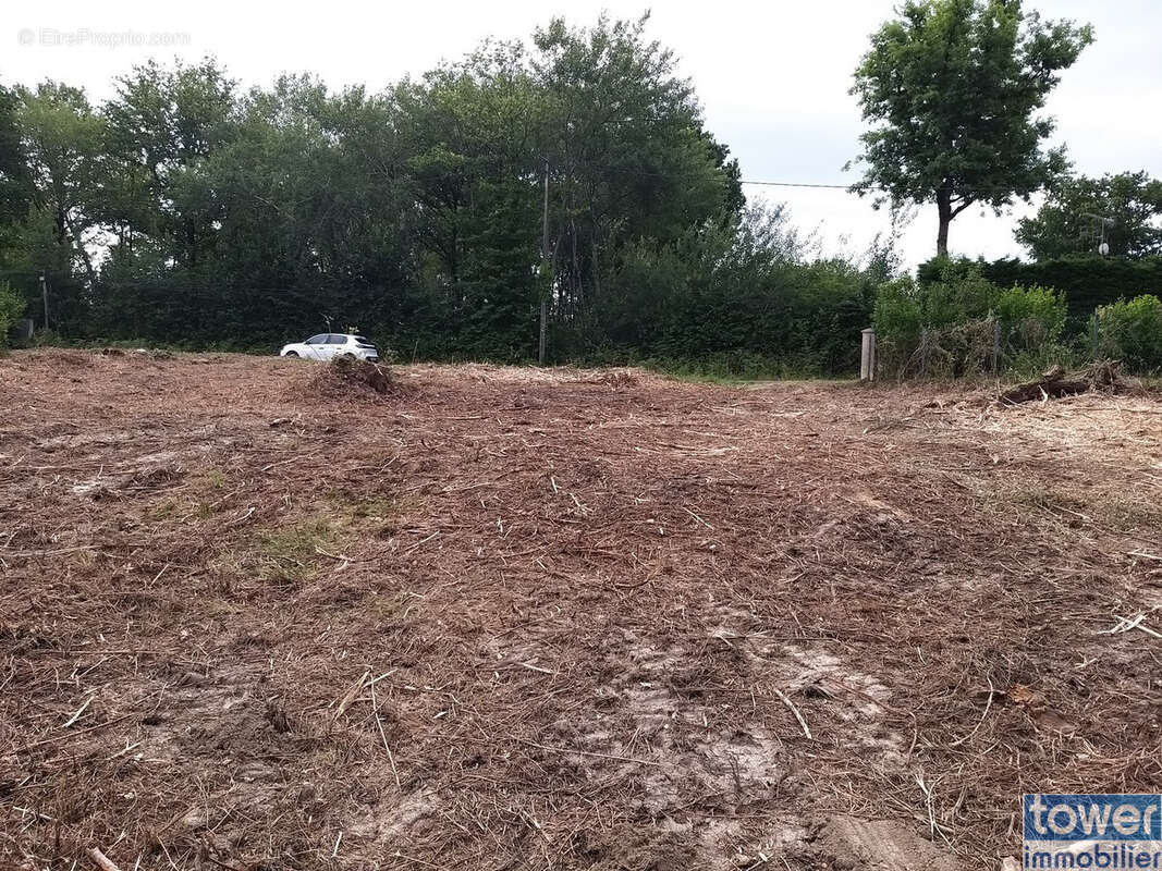 Terrain à SERS