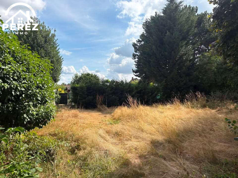Maison 172m2   5 chambres   Jardin - photo 11