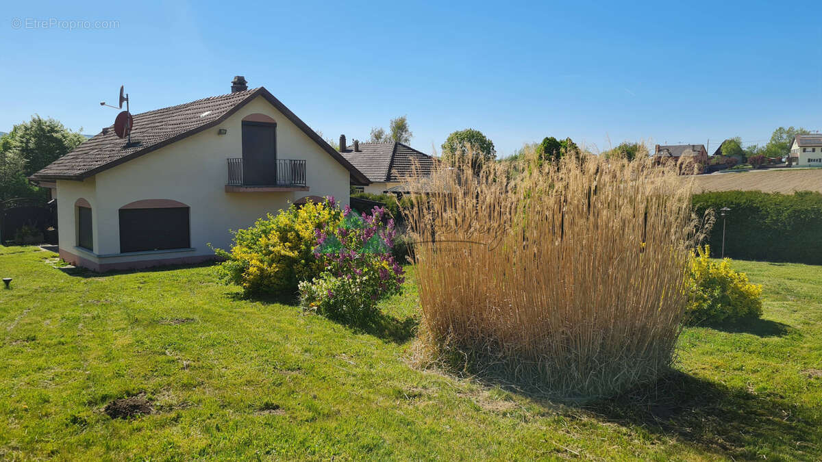 Maison à WERENTZHOUSE