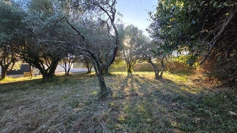 Terrain à vendre - viabilisé - 401 m2 - Castries (34) - photo 3
