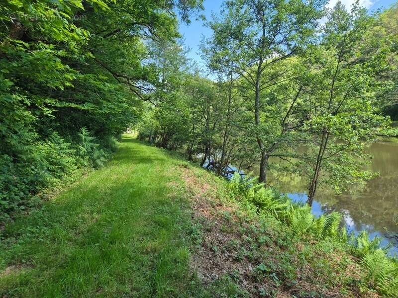 Terrain à PRESSIGNAC