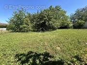 Terrain à BELLENAVES