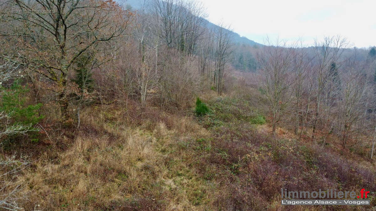 Terrain à SAINT-DIE-DES-VOSGES