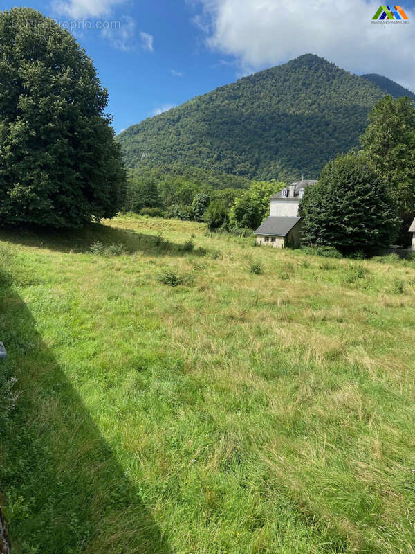 350 m² à Louvie-Juzon  - photo 6