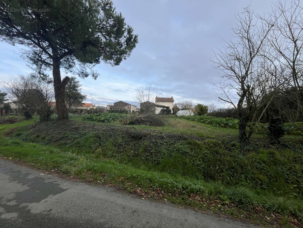 Terrain à CHAVAGNES-LES-REDOUX