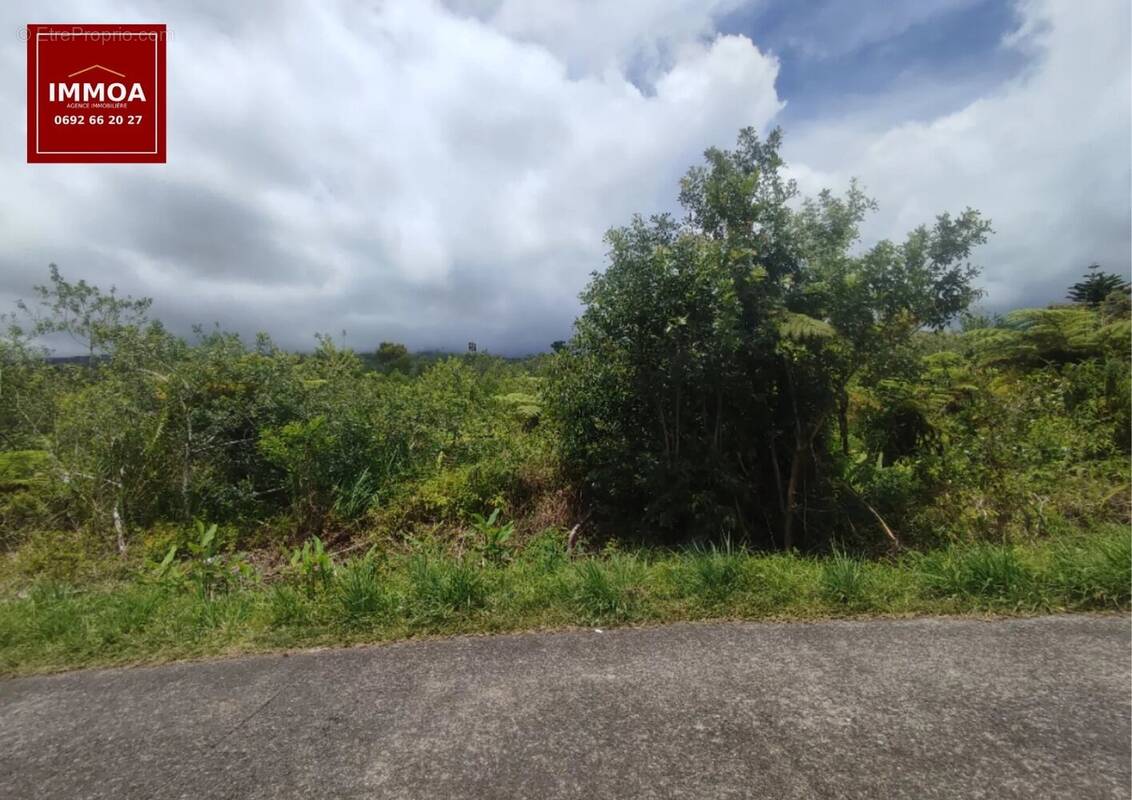 Terrain à SAINT-BENOIT