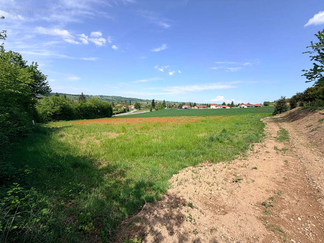 Terrain à MONTREVEL