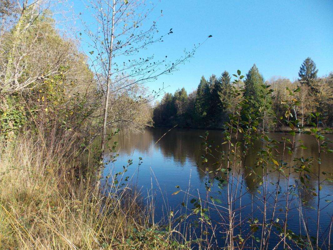 Terrain à LA CHAPELLE-MONTBRANDEIX