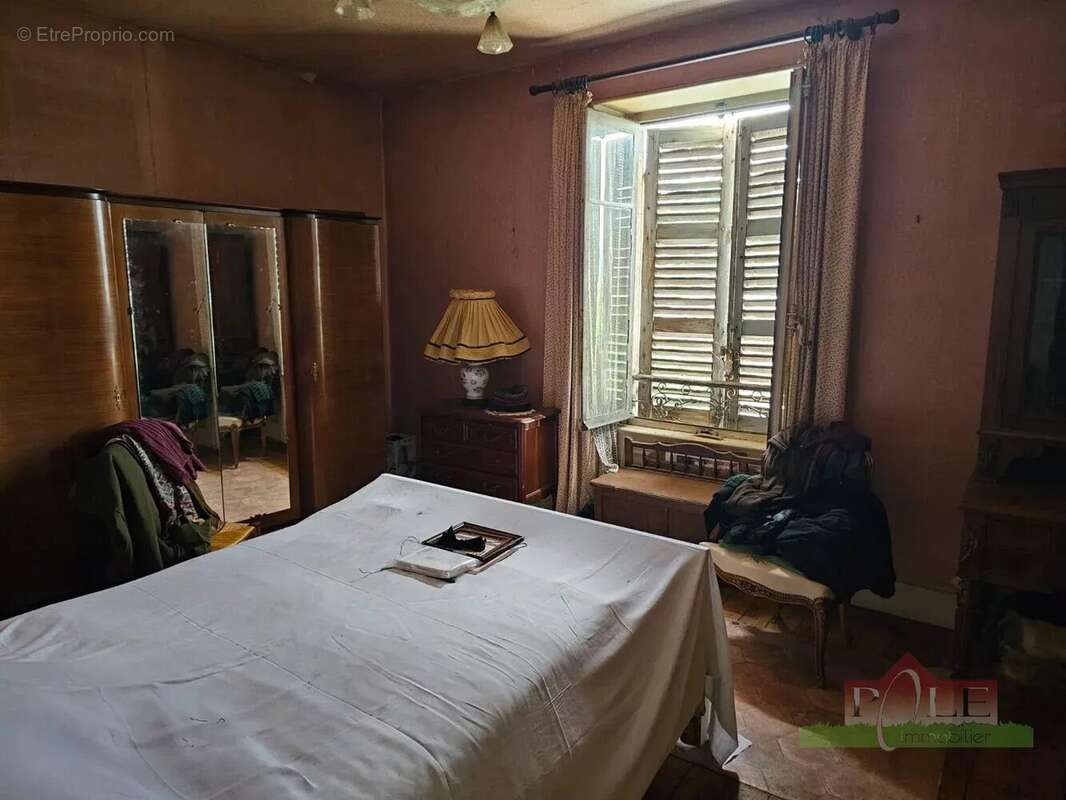 VIENNE, Immeuble Bourgeois de 360m² avec terrain de 830m² - photo 10