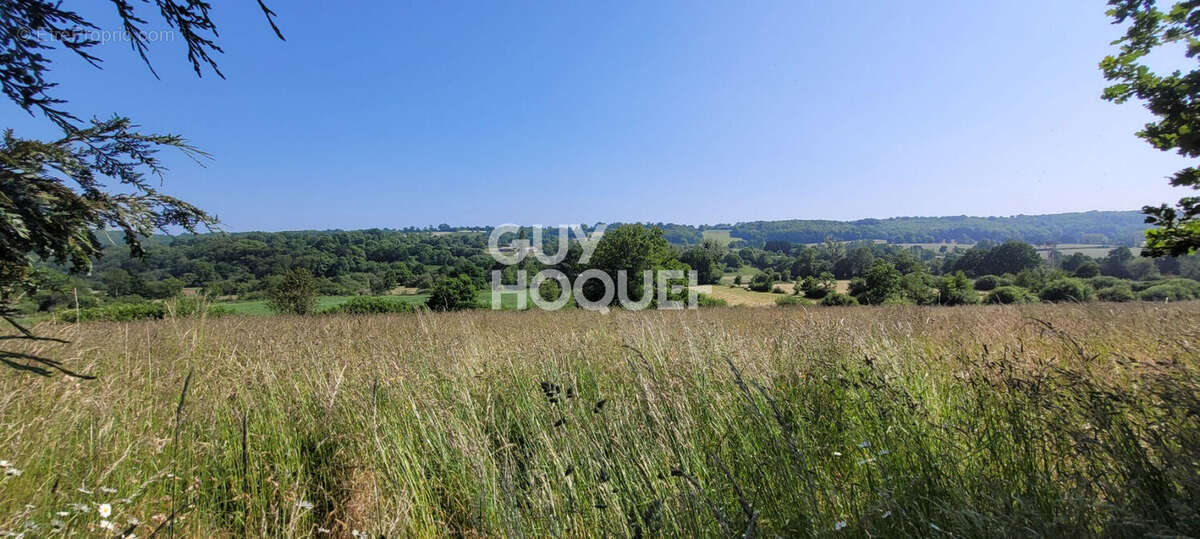 Maison + Gite 332m² Avranches - photo 12