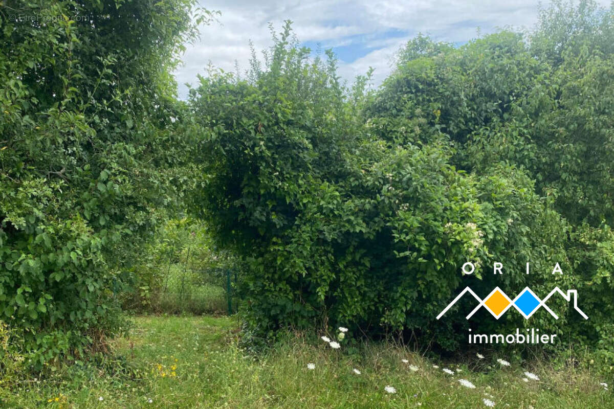 LIVERDUN - Terrain 1018 m2 constructible - photo 5