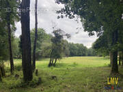 Terrain à LES SALLES-DE-CASTILLON