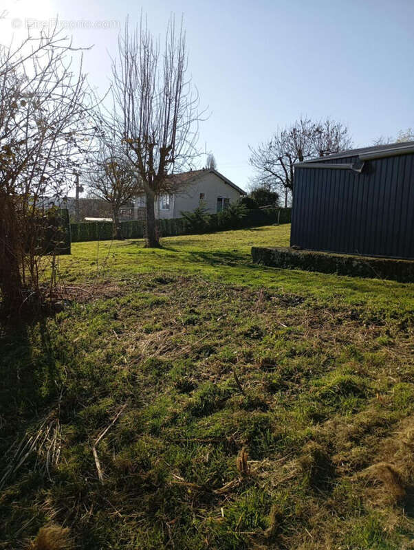 Terrain à SAINTE-AULDE