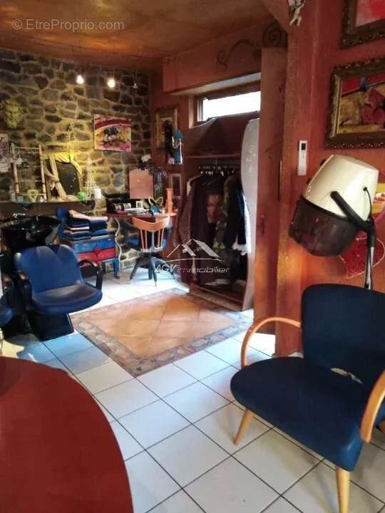 Commerce à ALES