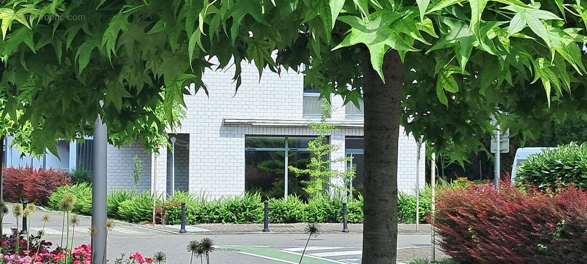 Commerce à HUNINGUE