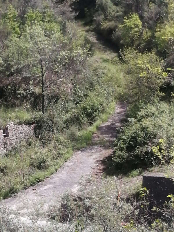 Terrain à BREIL-SUR-ROYA