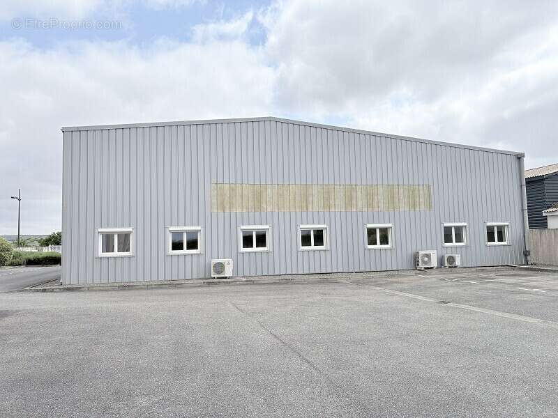 Commerce 940 m² à Plaisance-Du-Touch  - photo 4