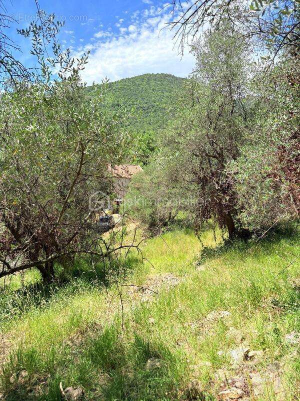  Terrain constructible – Pierrefeu (06910)  - photo 4