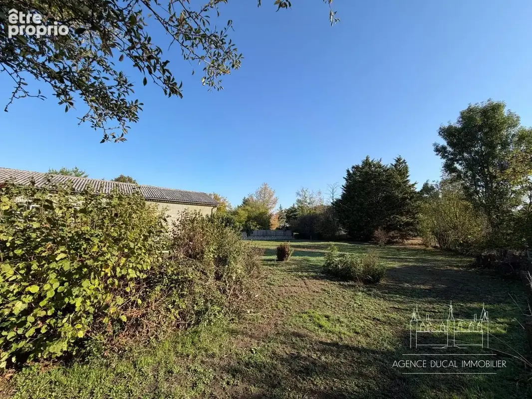 Commerce 280 m² à vendre à Sermoise-Sur-Loire (58000) - photo 7