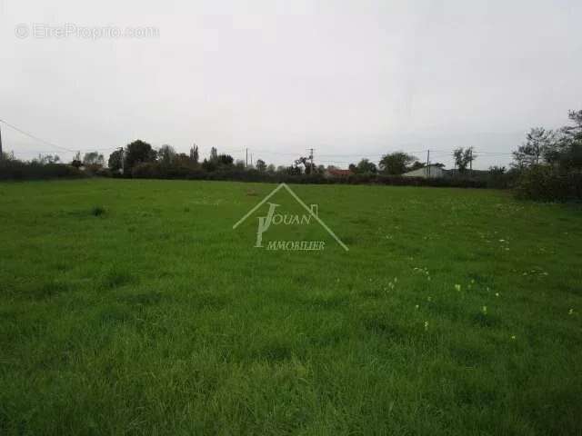 Maison à VARENNES-SUR-ALLIER