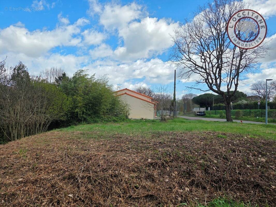 Terrain à BRAX