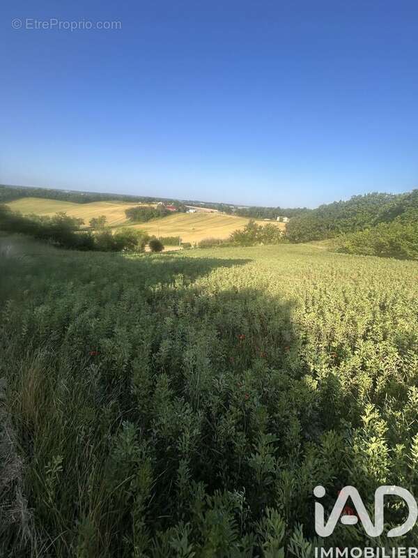 Photo 2 - Terrain à MONTPEZAT-DE-QUERCY
