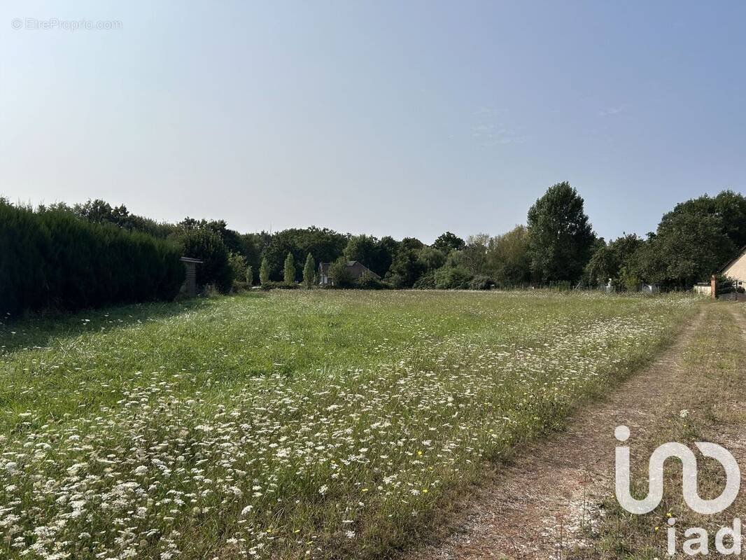 Photo 1 - Terrain à LA MAROLLE-EN-SOLOGNE