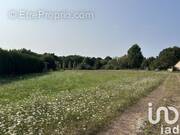 Photo 1 - Terrain à LA MAROLLE-EN-SOLOGNE