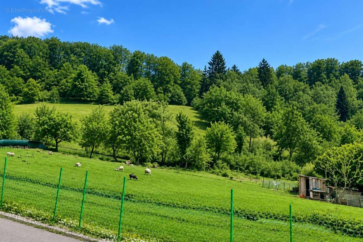 Maison 281 m² à Pont-De-Roide  - photo 2