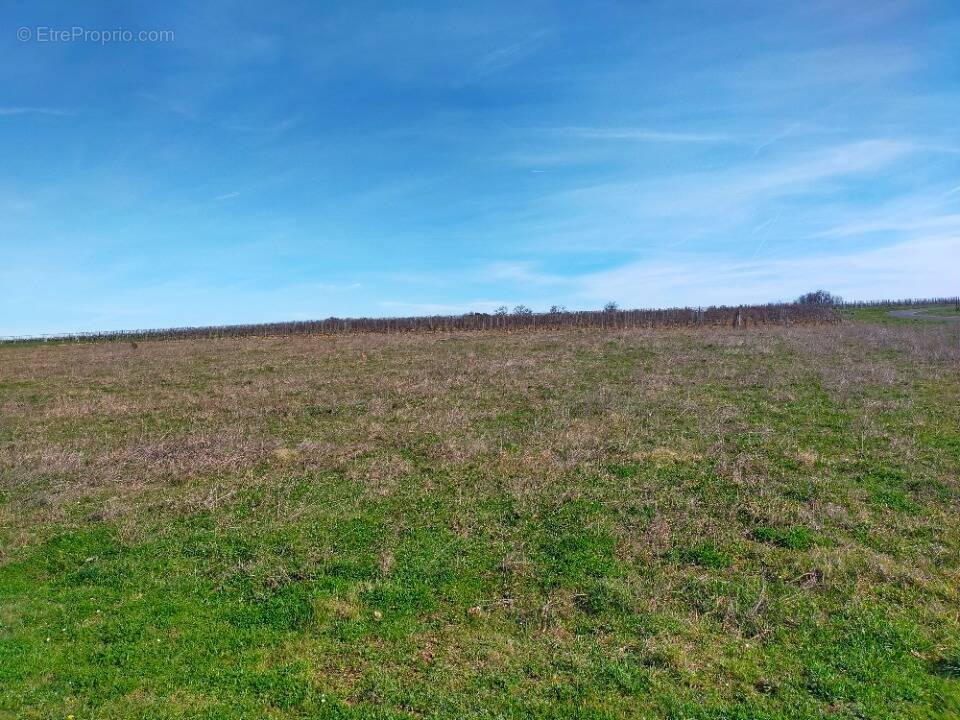 Terrain à VERRIERES