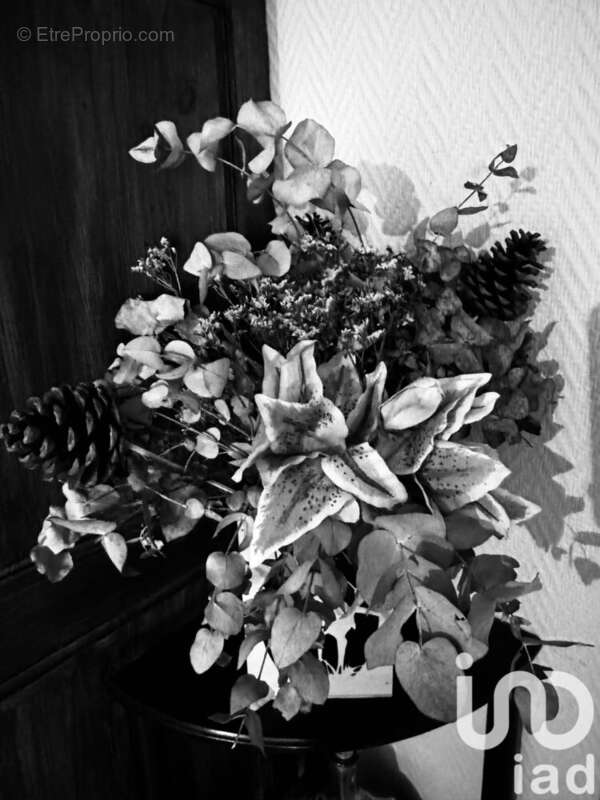 Photo 5 - Maison à NEMOURS