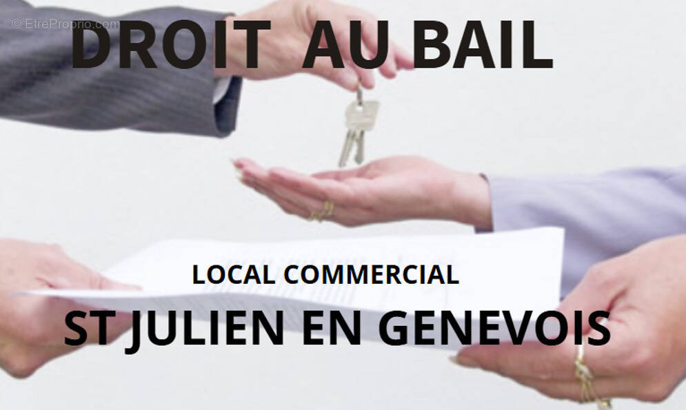 Commerce à SAINT-JULIEN-EN-GENEVOIS